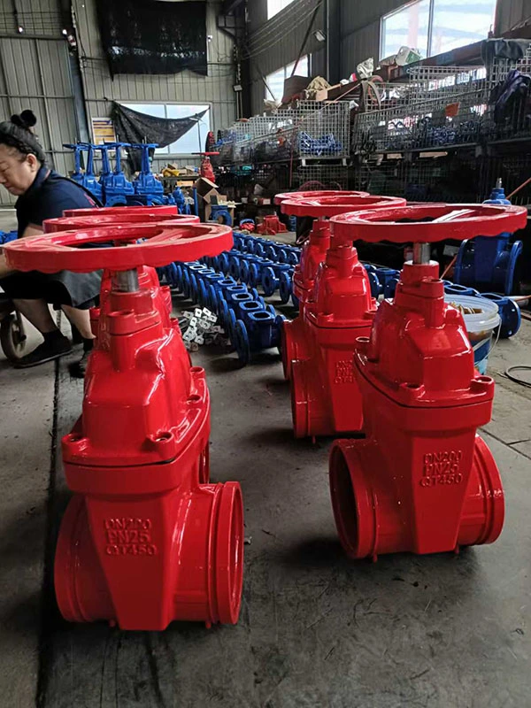 Nrs Gate Valve